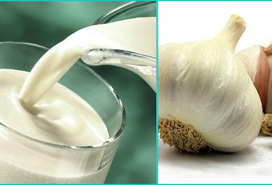 İbn Sinanın ən güclü CAVANLIQ RESEPTİ - Sarımsaqlı südün