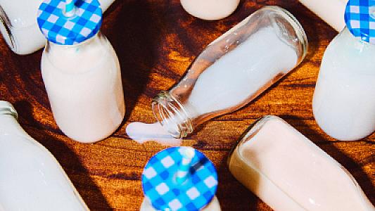 Heyvan və bitki mənşəli süd bağırsaq sağlamlığına 