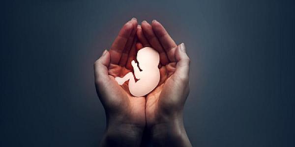 Azərbaycanda 15-17 yaşlı qızlar arasında abort halları narahatlıq doğurur: