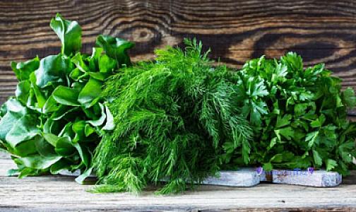 Şüyüdün faydası və təhlükəsi: 