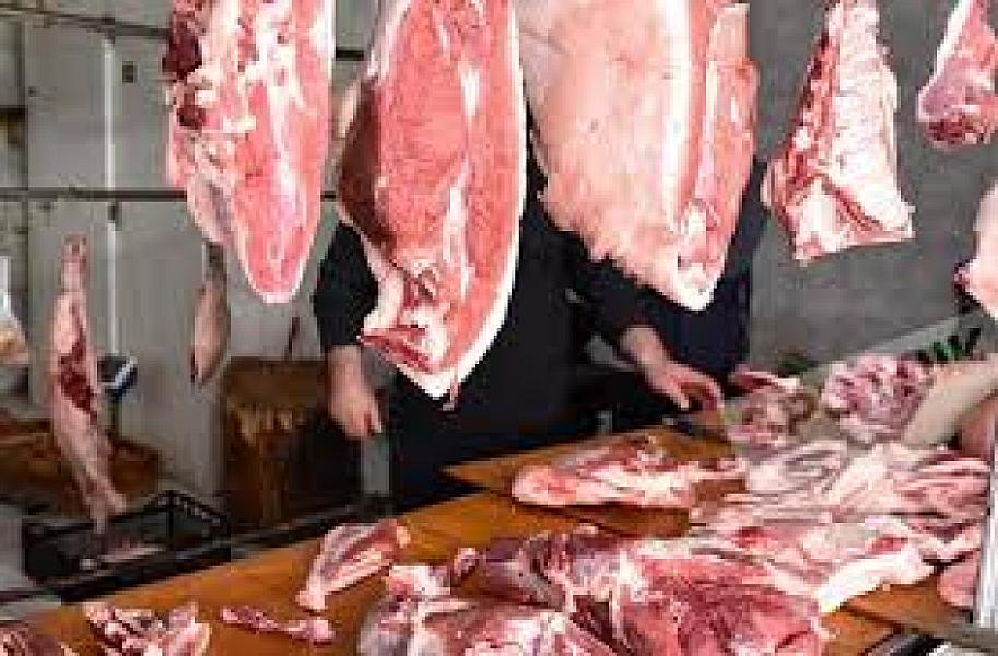 Xəstə heyvanların əti Bakıya gətirilir? - AQTA-dan