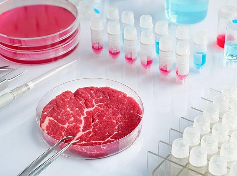 İsrail laboratoriyada hazırlanan süni mal ətini satacaq