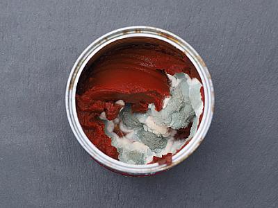 Tomat pastasının tez kiflənməsinin