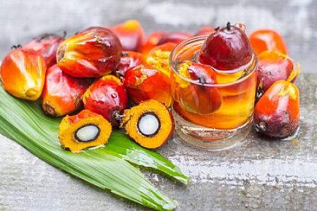 Palma yağı və onun zərəri