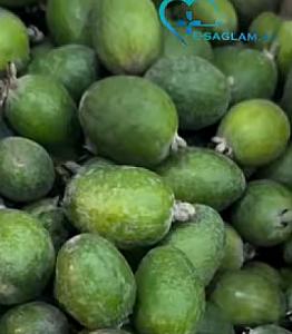 FEYXOA - C vitamini bombası, bədəni zəhərlərdən