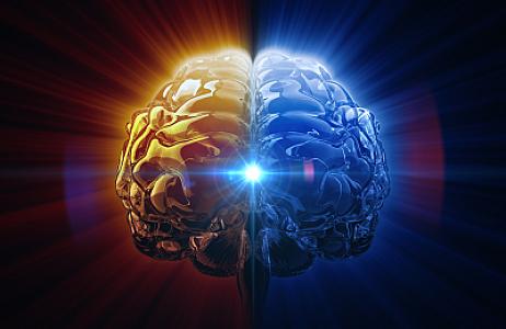 İnsan beyni hansı yaşda