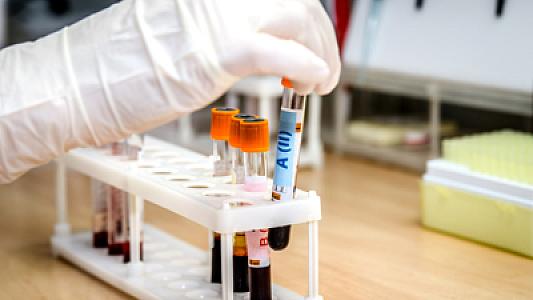 Valideynlərin qan qrupu uşaqların istedadına