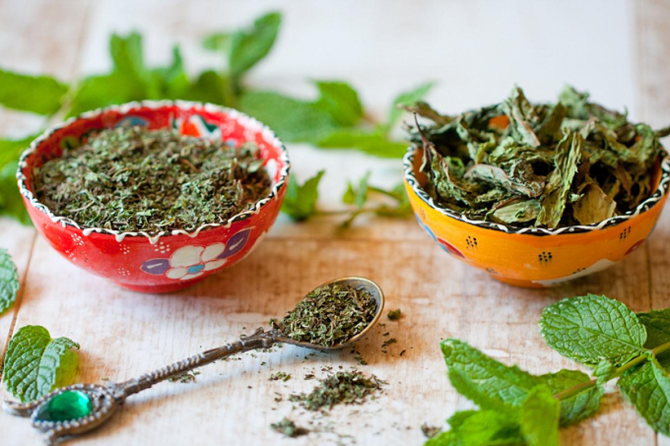 Quru nanənin sağlamlığa faydaları: Həzm sistemindən stresə qədər