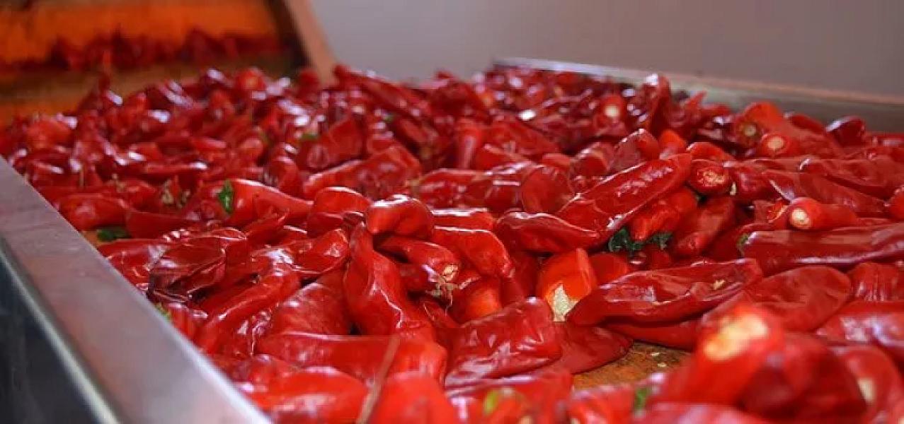 Acı yeməklər metabolizmanı sürətləndirir – araşdırmadan 