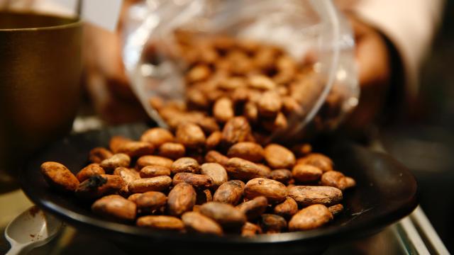 Bir fincan kakao kişilərdə damar