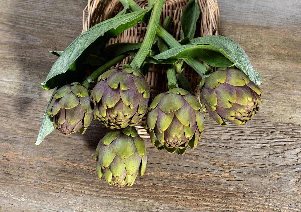 Ənginar – Qaraciyəri qoruyan və həzmi gücləndirən 