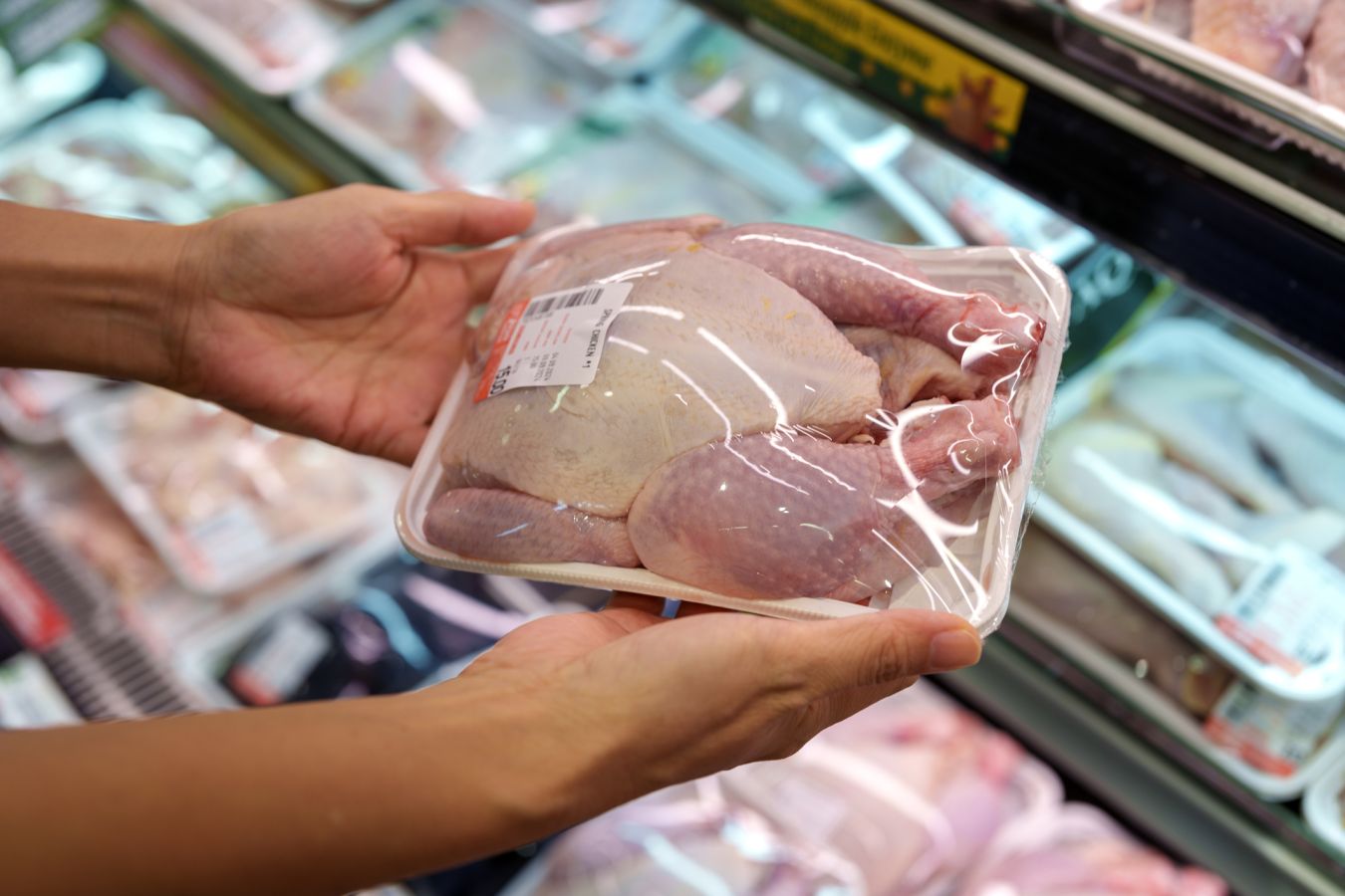 Həkim toyuğun məhv edilməz parazitlərin və toksinlərin yaşadığı