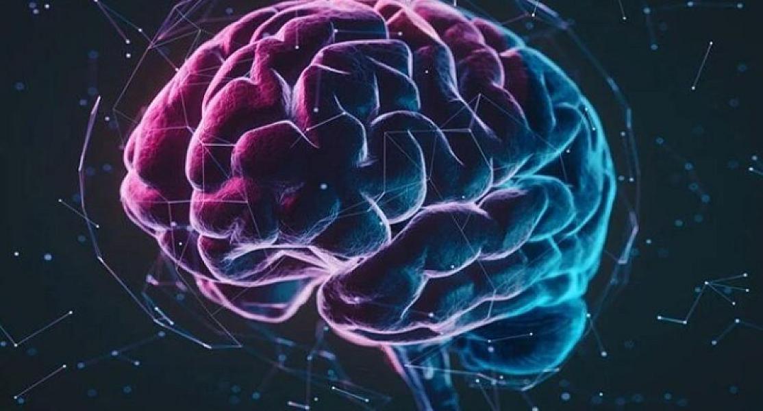 Alimlər beyni qocalmaqdan qorumağın