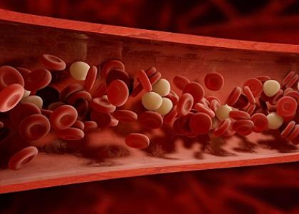 Tıxanmış damarları hansı qidalar açır? -