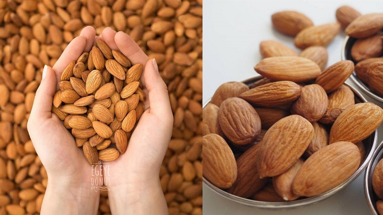 Ürəyin dostu badam: gündə bir ovucla