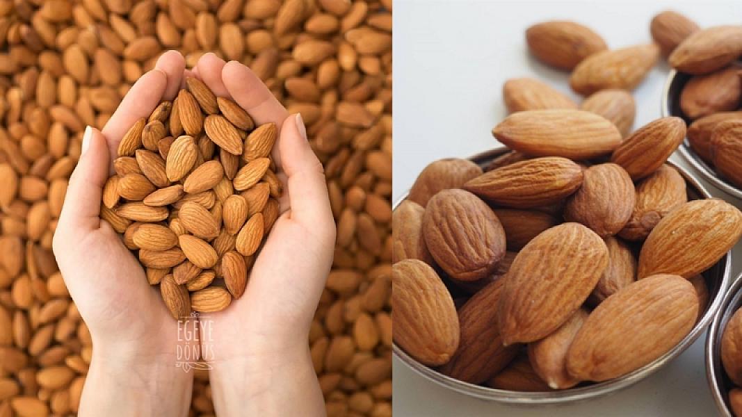 Ürəyin dostu badam: gündə bir ovucla