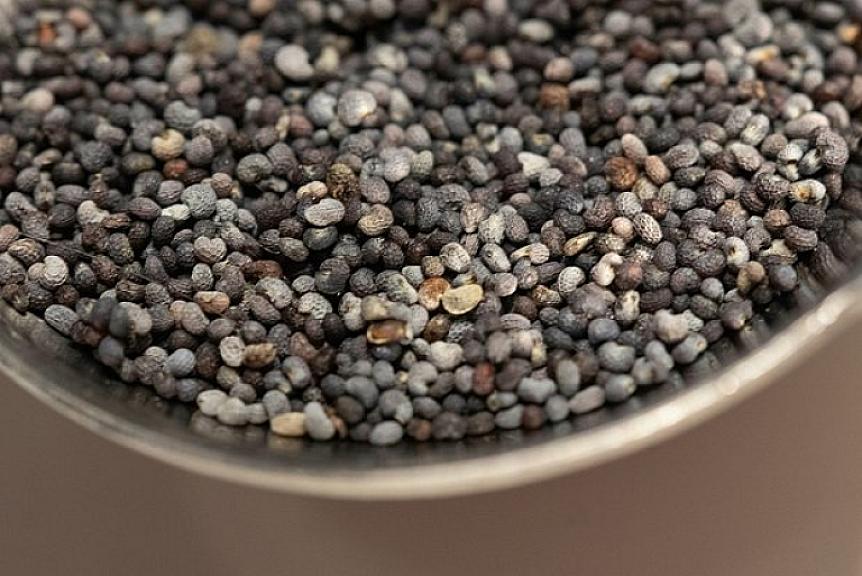 Sağlam qida kimi bilinir, amma - 1