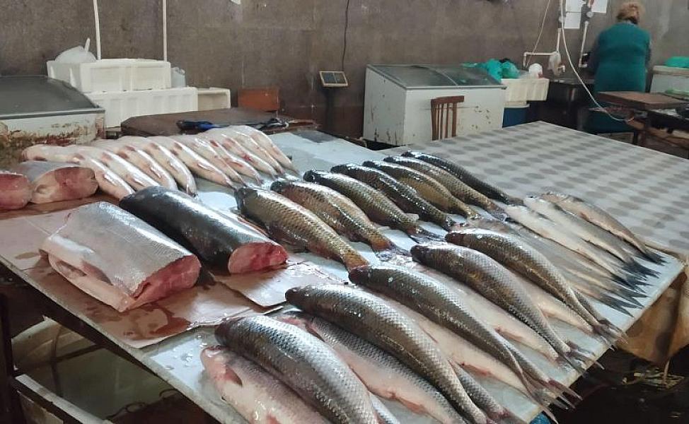 Dabaq xəstəliyindən sonra hamı ət əvəzinə balıq alır -