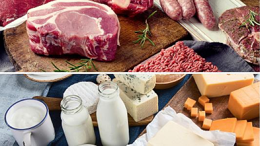 Süd və ət istehsalı azalır, qiymətləri isə artır -