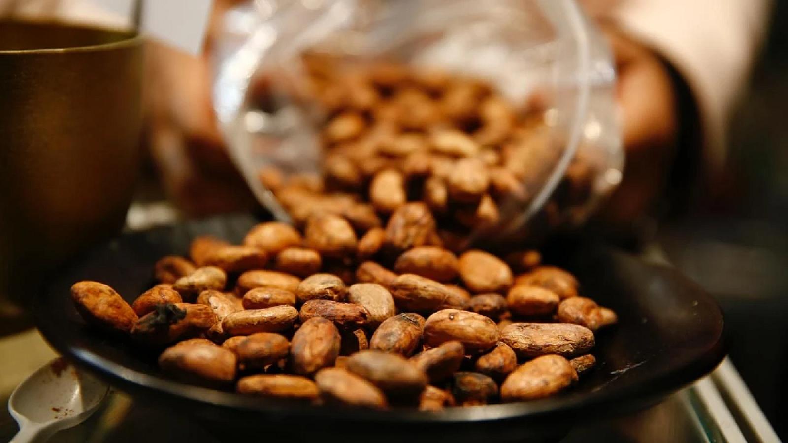 Bir fincan kakaonun kişilər üçün