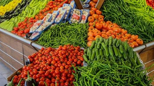 Elm açıqladı: dünyanın