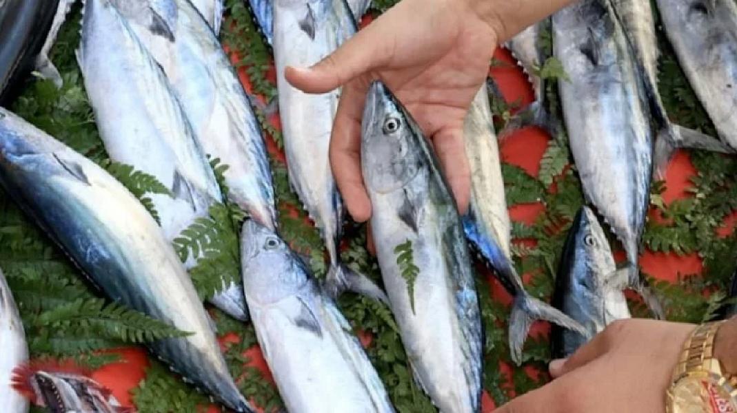 Varlılar üzlərinə balıq sperması yeritdirməyə başlayıb: