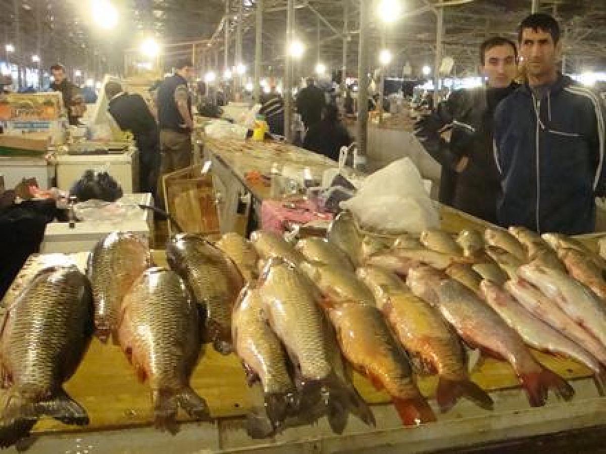 Əgər balığın qarnı belədirsə,