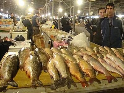 Əgər balığın qarnı belədirsə,