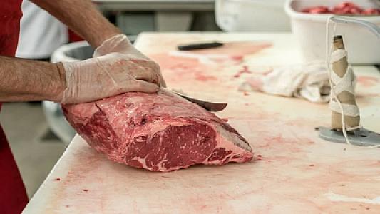 Ən sağlam ət növü