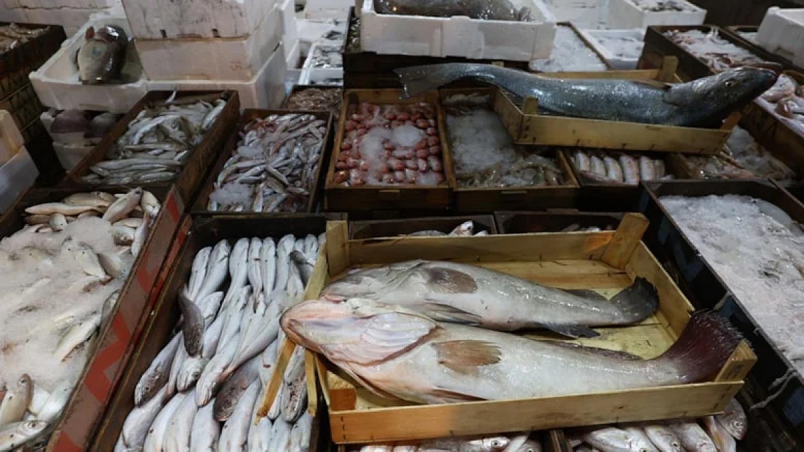 Dekabr ayında bu balığı yeyin,