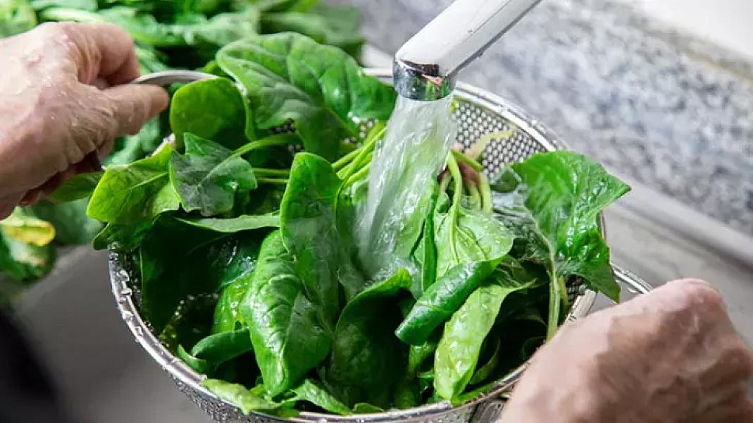 Vitamin, mineral, antioksidant anbarı -