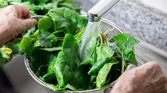 Vitamin, mineral, antioksidant anbarı -