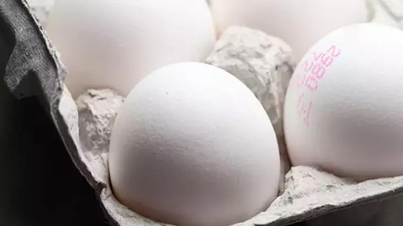 Yumurtalardakı rəng və kod fərqliliyi: