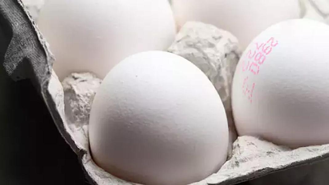 Yumurtalardakı rəng və kod fərqliliyi: