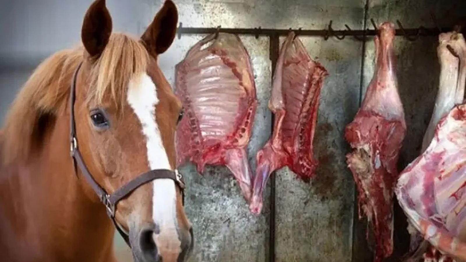 At ətini keyfiyyətli mal əti kimi satışa çıxardılar -