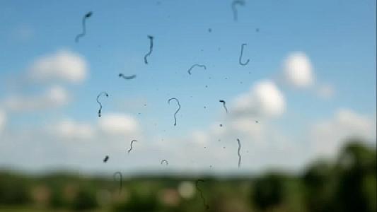 Gözlərinizin qarşısındakı üzən cisimlərin əslində