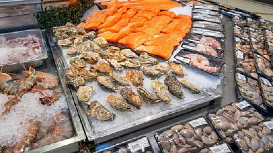 Bu balığı yeyənlər 2 saat ərzində zəhərlənir -