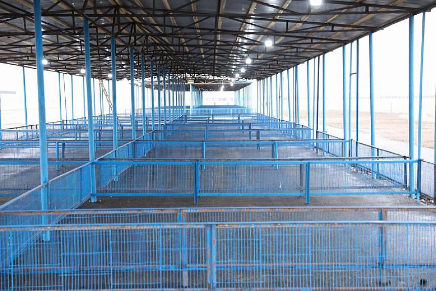 Bərdə heyvan bazarı fəaliyyətə başlayacaq - - 1