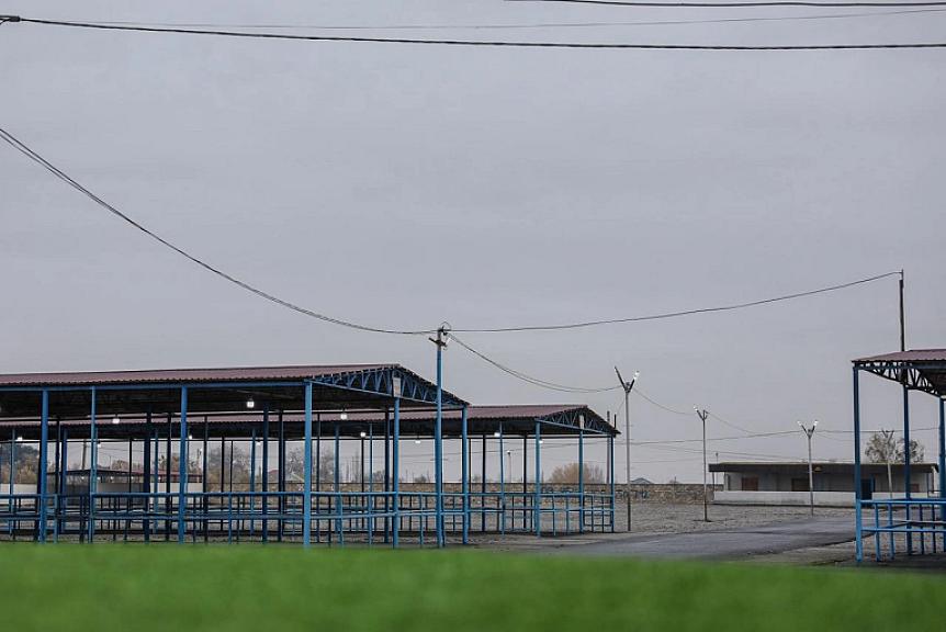 Bərdə heyvan bazarı fəaliyyətə başlayacaq - - 2