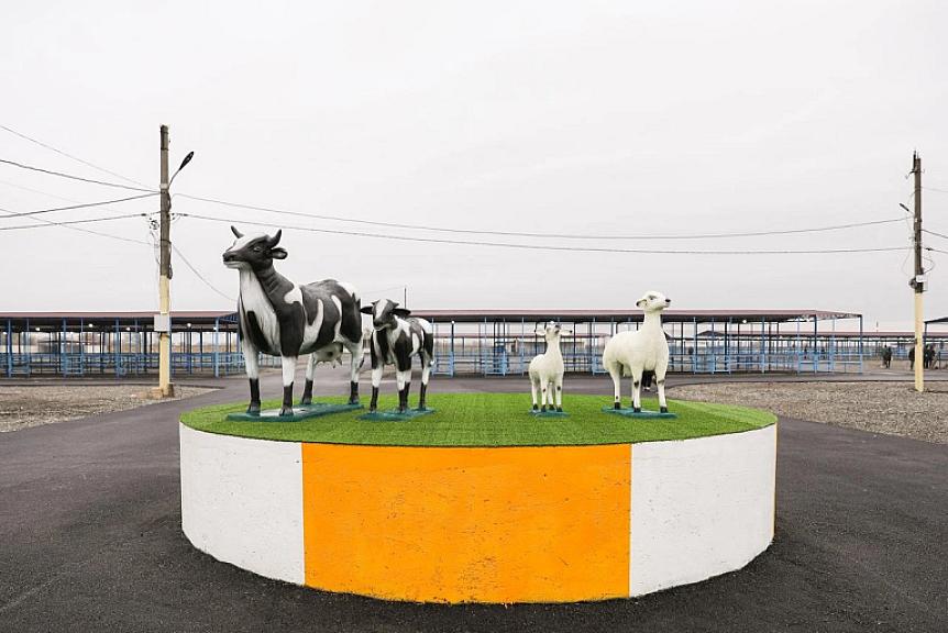 Bərdə heyvan bazarı fəaliyyətə başlayacaq - - 3