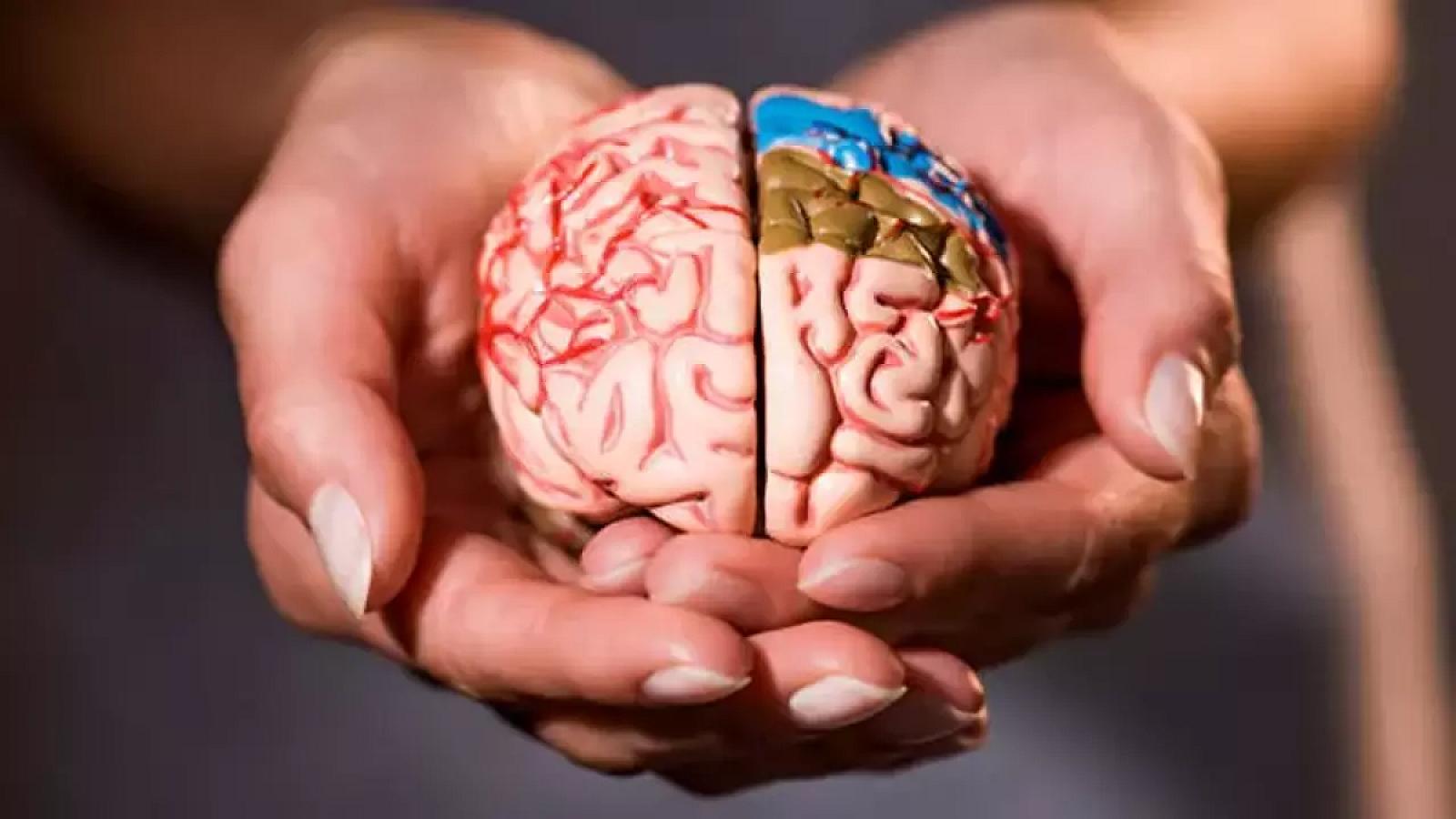 Beyni 8 il “gənc” saxlayan