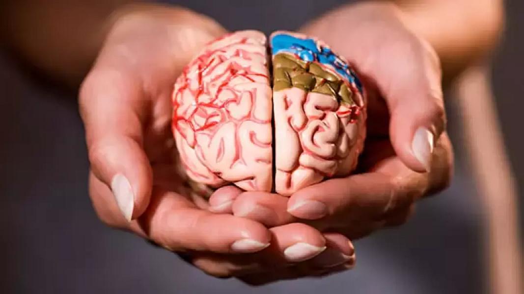 Beyni 8 il “gənc” saxlayan