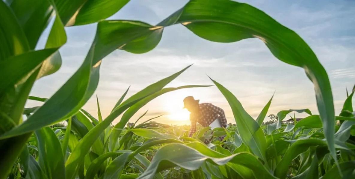 Dünyada yalnız bir ölkə özünü
