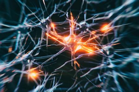 Dörd sadə vərdiş beyni