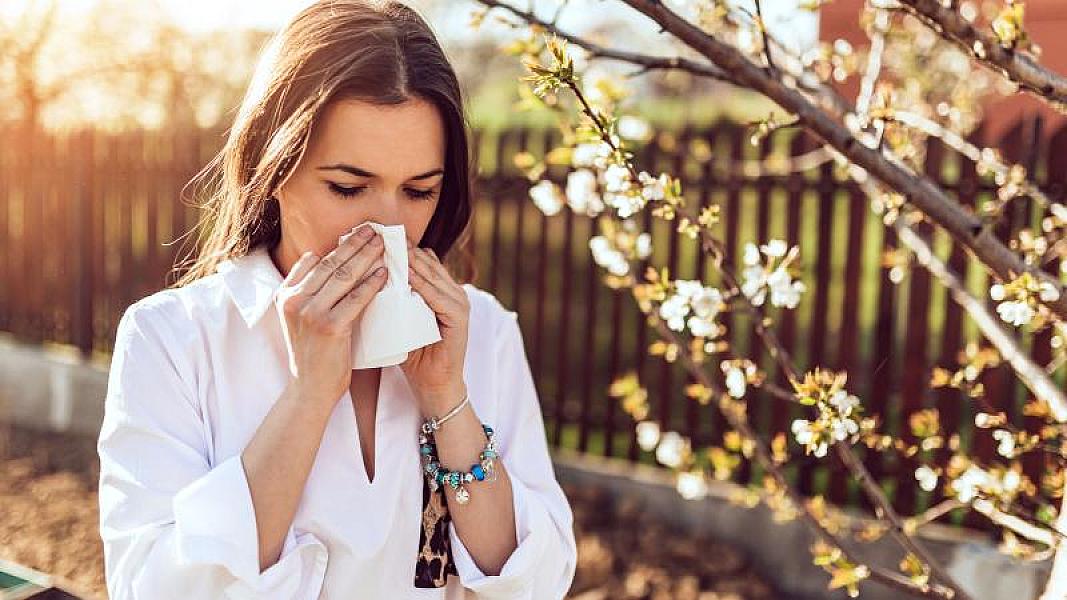 Alimlər immun sistemini gəncləşdirməyin