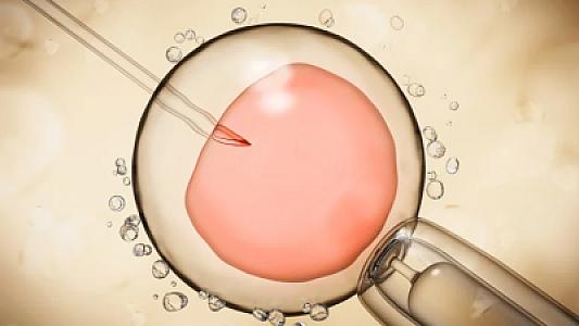 Alimlərdən tarixi addım: süni mayalanmada