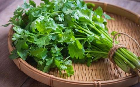 Keşnişin ürək sağlamlığına