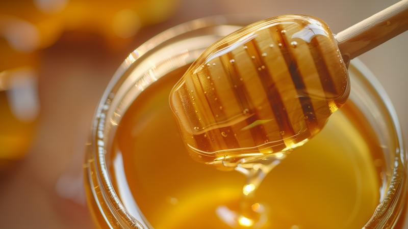 Hansı bal növü nəyə