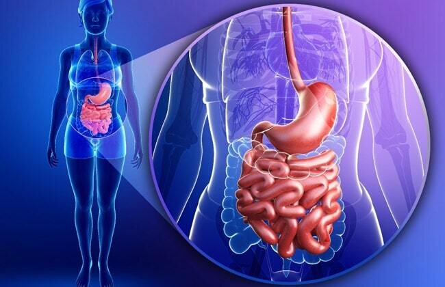 Bağırsaqları təmizləyən