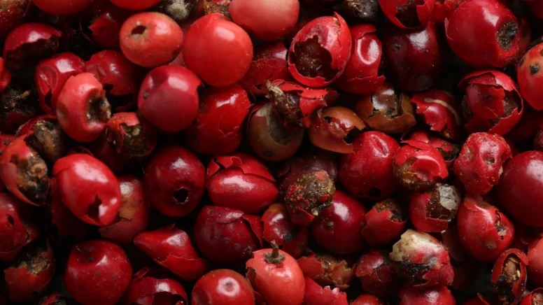 Portağal və ya mandarin deyil – bir ovucunda